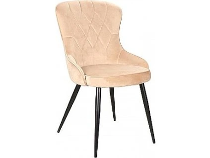 Židle LOTUS (Varianta bluvel 28)