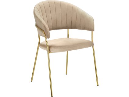 dasmin typ 1 new dod n bezova 01