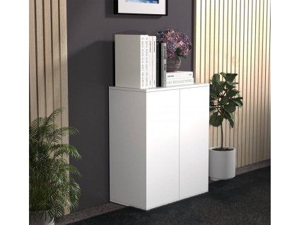 e5313194b1e24f03dc24f5c208963d91