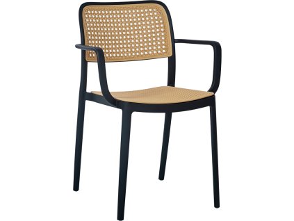 ravid new typ 2 stolic dod 01