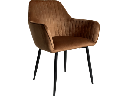 zirkos dod stolicka hneda 02