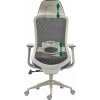 Kancelářské křeslo ERGON (Varianta šedá)
