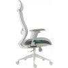 Kancelářské křeslo ERGON (Varianta šedá)