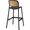 ravid new typ2 d 03
