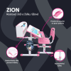 infografika Zion ruzova cz
