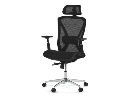 Kancelářská židle, synchronní mechanismus, černá síťovina, KA-S258 BK (Barva Černá)