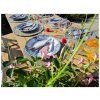 56376 15 nabytek provence 2