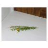 60567 22 provence w6p 141