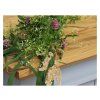 63621 1 truhla provence 1