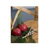 poprad zidle sil 25 3