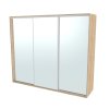 FLEXI 3 - šatní skříň 3x zrcadlo, 240/260/280/300 x 220/240cm