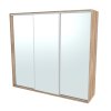 FLEXI 3 - šatní skříň 3x zrcadlo, 240/260/280/300 x 220/240cm