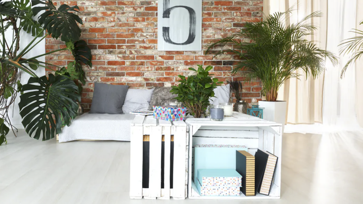 5 Nečekaných Triků, Jak Vybrat Nábytek do Pronajatého Bytu a Ušetřit Peníze