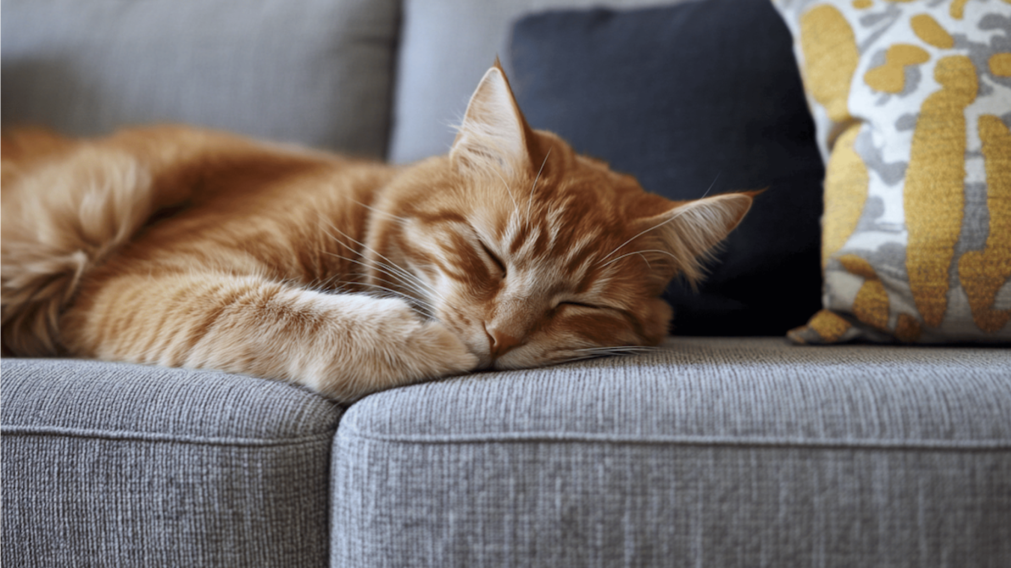 10 způsobů, jak udržet váš textilní nábytek čistý, i když máte malé děti (a domácí mazlíčky)!