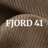 Fjord 41