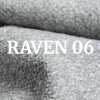 Raven 06