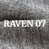 Raven 07