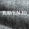 Raven 10