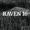 Raven 16