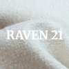 Raven 21