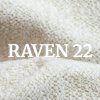 Raven 22