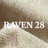 Raven 28