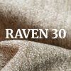 Raven 30