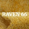 Raven 66