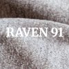 Raven 91