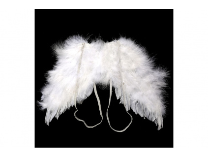 Andělská křídla z peří , barva bílá,  baleno 2 ks v polybag. Cena za 1 ks AK6111-WH
