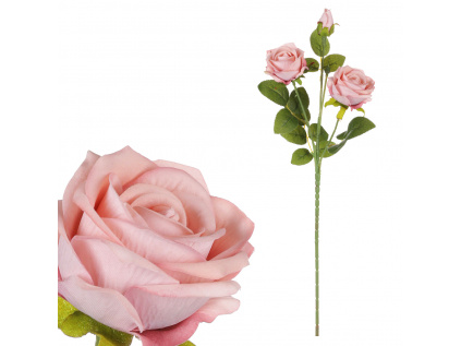 Růže, 3 hlavy, barva růžová. Samet KN6161 PINK