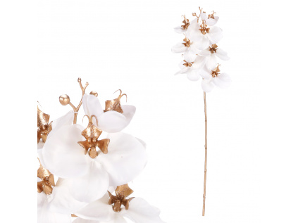 Orchidej, barva bílá KUC2603 WT