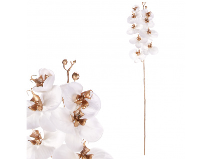 Orchidej, barva bílá KUC2604 WT