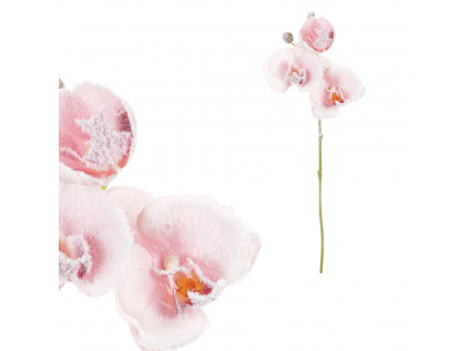 Orchidej, barva růžová KUC2606 PINK
