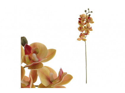 Orchidej - barva tmavě růžová KUM3417-PINK-DK