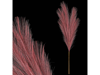 Pampas tráva, fialová barva KUM3434 PU