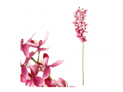 Orchidea drobnokvětá, fialová barva UKK313-LILA