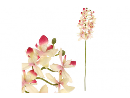 Orchidea drobnokvětá, žluto-růžová barva UKK313-PINK