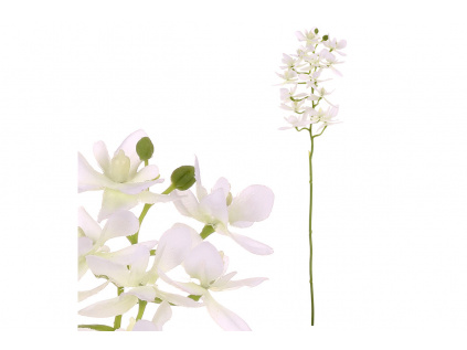 Orchidea drobnokvětá, bílá barva UKK313-WH