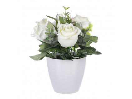 Růžičky v plastovém bílém obalu, barva krémová SG7335 CRM