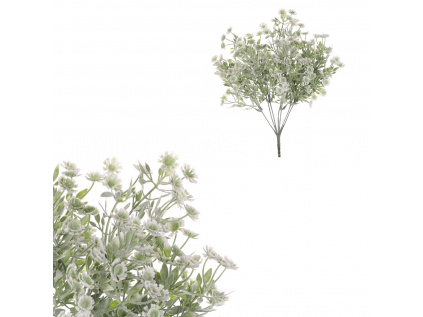 Zeleň kvetoucí, bílé květy - trs. - SG7368 GRN