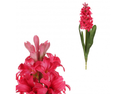 Hyacint, tm.růžová barva. - KUL012 PINK-DK
