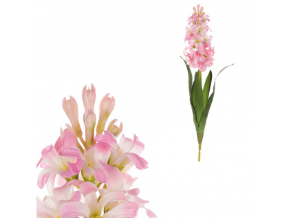 Hyacint, sv.růžová barva. - KUL012 PINK-LT
