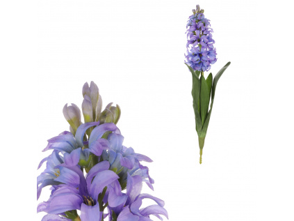 Hyacint, fialová barva. - KUL012 PUR