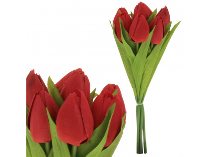 Puget tulipánů, 7 květů, barva červená. - KN6121 RED