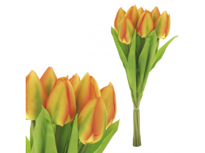 Puget tulipánů, 7 květů, barva žlutá. - KN6121 YEL