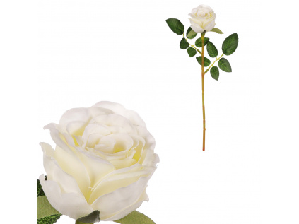 Růže, bílá barva. - KN7049 WT