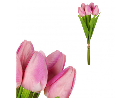 Tulipány v pugetu, barva fialová. - KN6121 LILA