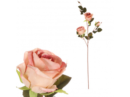 Růže, 3-květá, staro-růžová. - KN7058 PINK-OLD