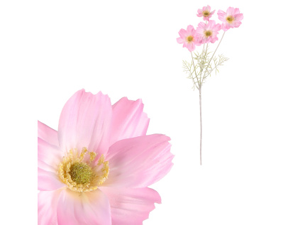 ukz1002 pink